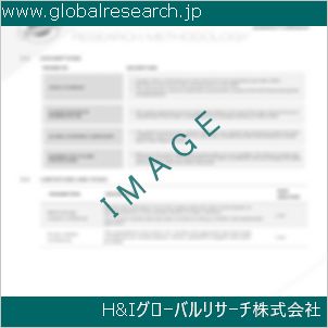 グローバルリサーチ調査資料のイメージ